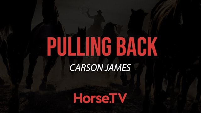 Horse Pulls Back