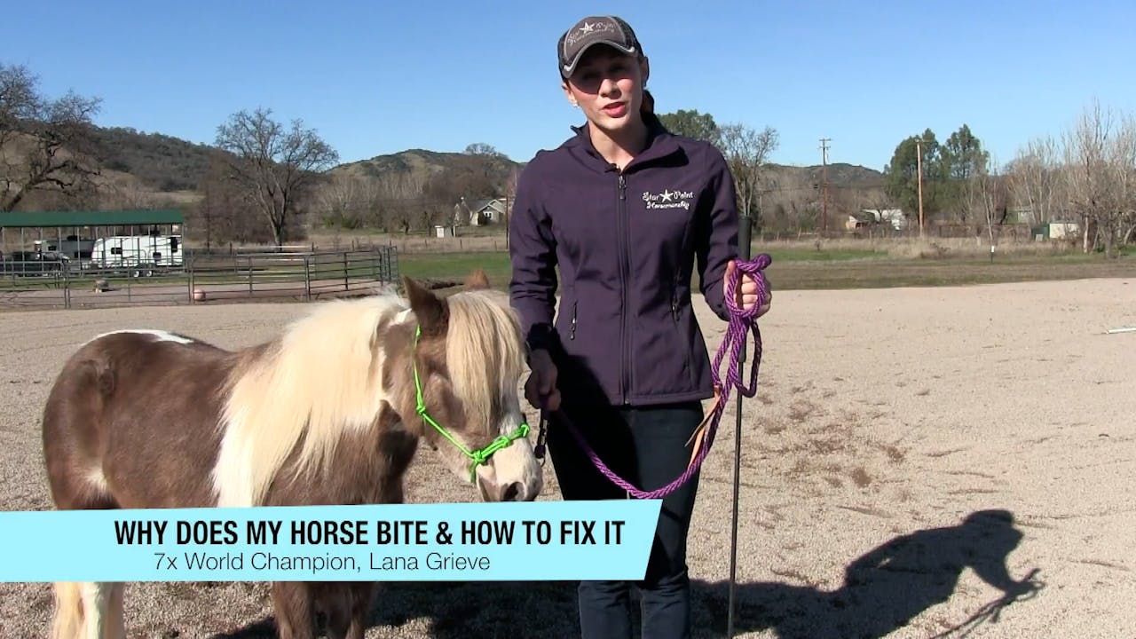 Why Does My Horse Bite? Horse.TV