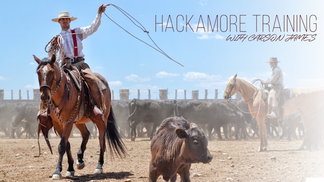 Hackamore Training | Carson James