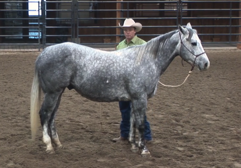 Episode 09 | From the Ground Up - Pt 3