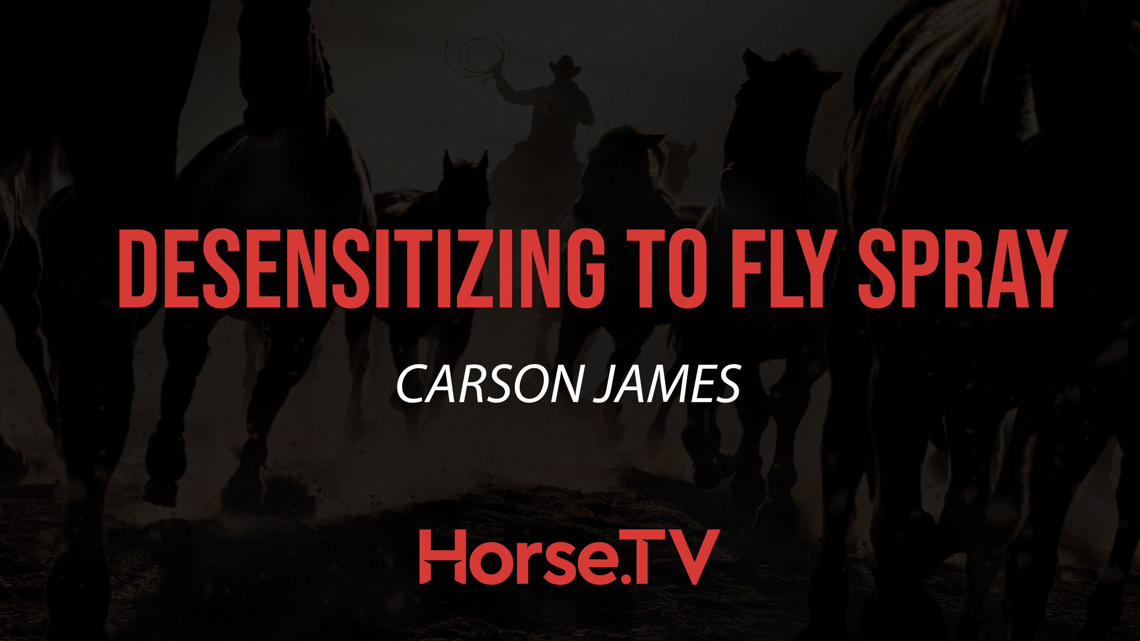 Desensitizing To Fly Spray