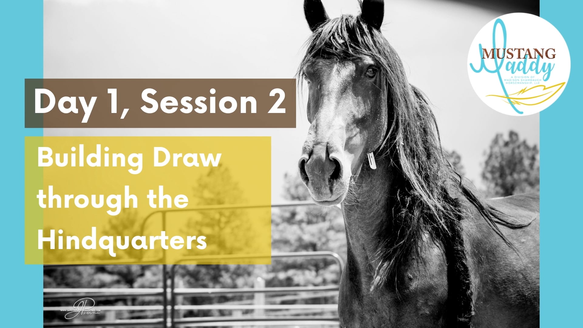 Building Draw | Hindquarters