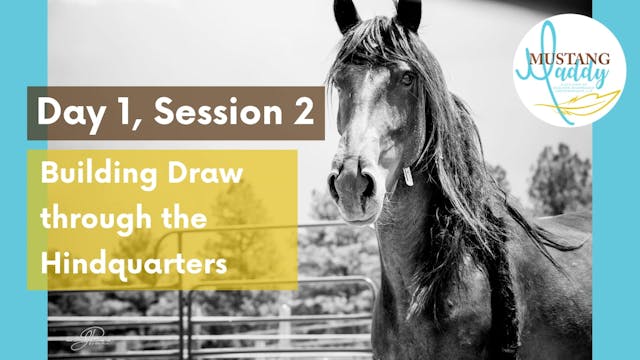 Building Draw | Hindquarters