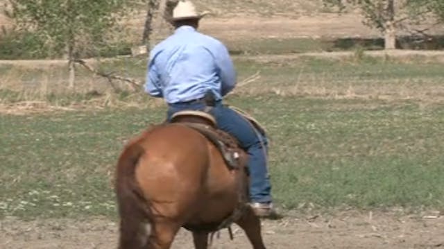 Episode 09 | Hindquarter Control