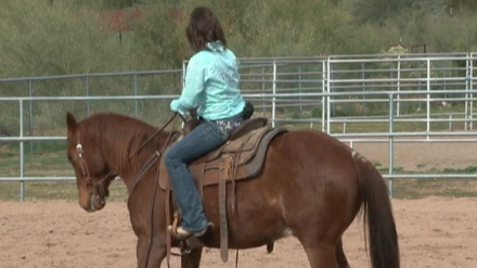 Episode 11 | Rollbacks