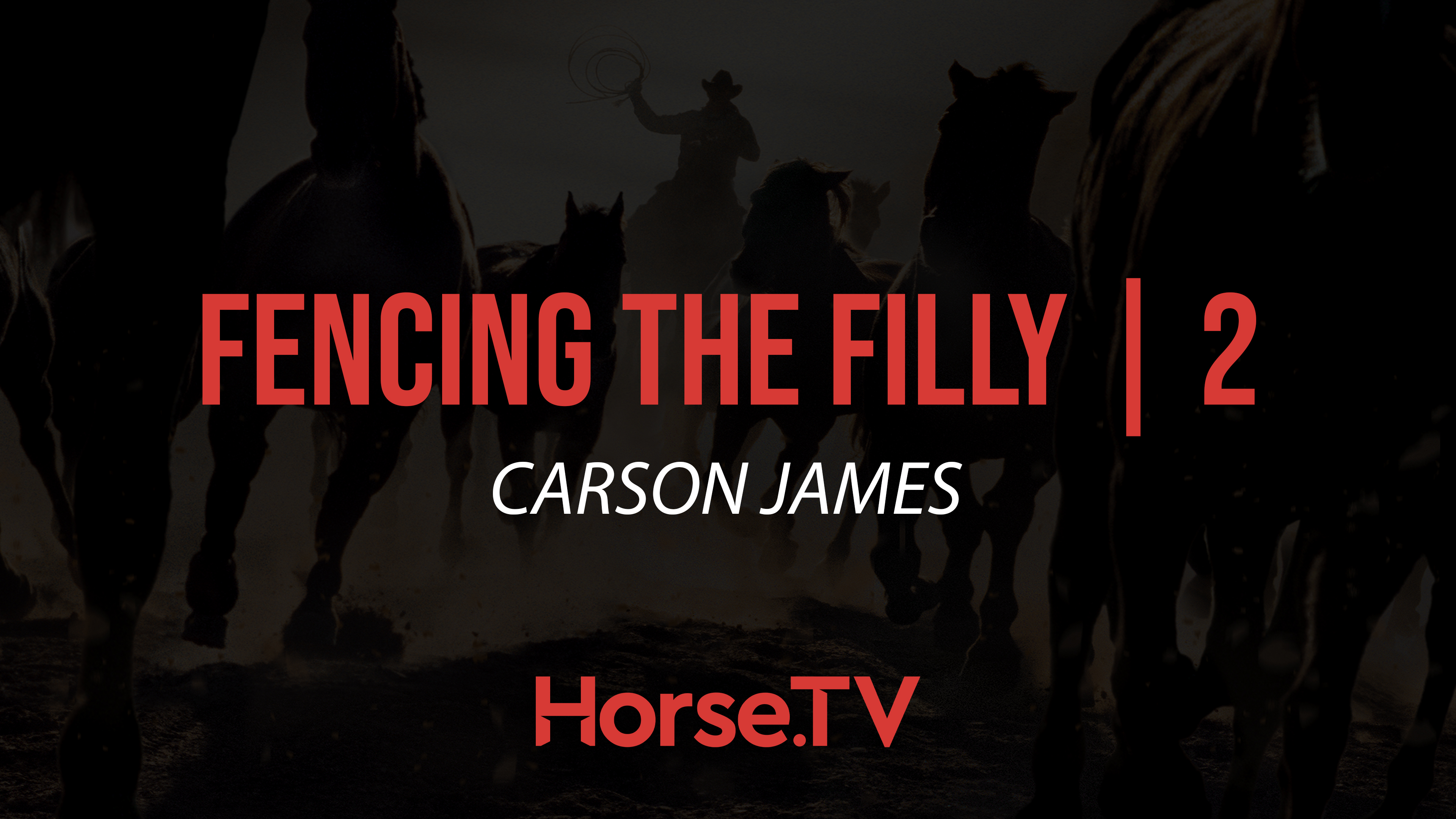 Fencing The Filly |2