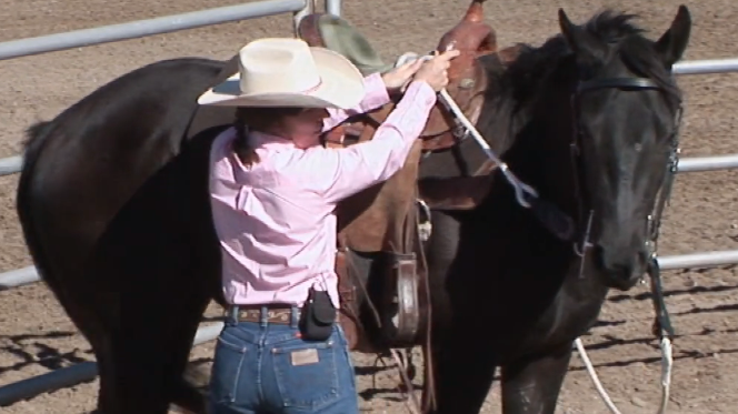 Episode 07 | Riding a Young Horse Confidently - Pt 3 of 3