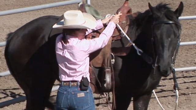 Episode 07 | Riding a Young Horse Con...