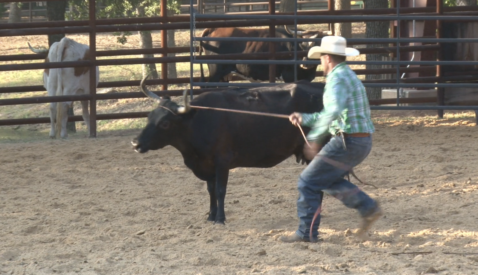 Episode 13 | Penning & Roping