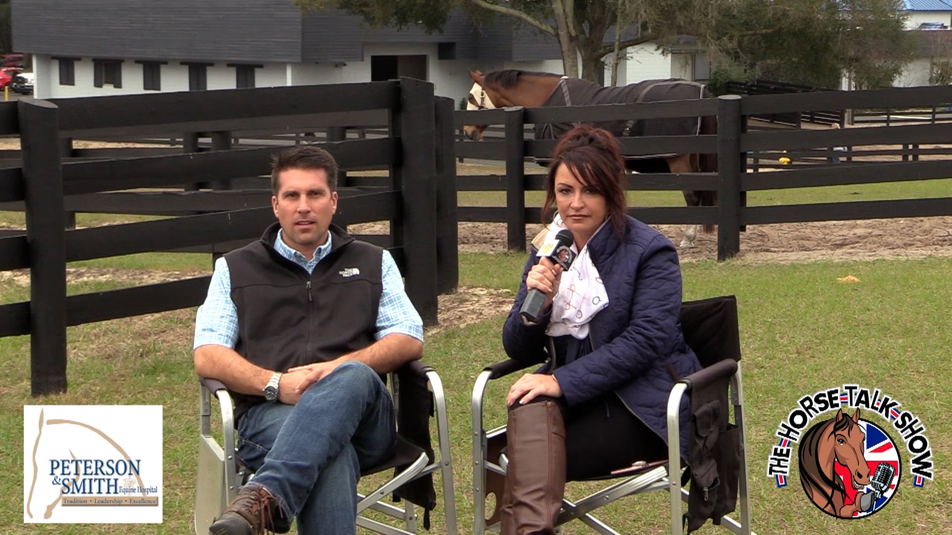 Blister Beetle Dangers