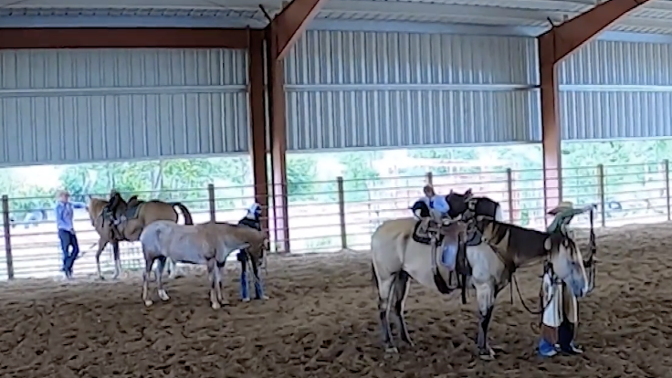 River Valley Horse Camp | Iowa | Part 1
