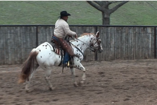 Episode 11 | Lead Changes