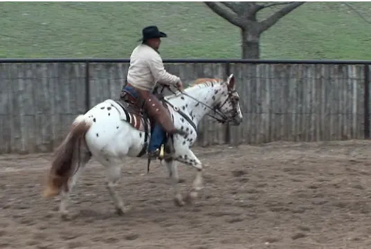 Episode 11 | Lead Changes