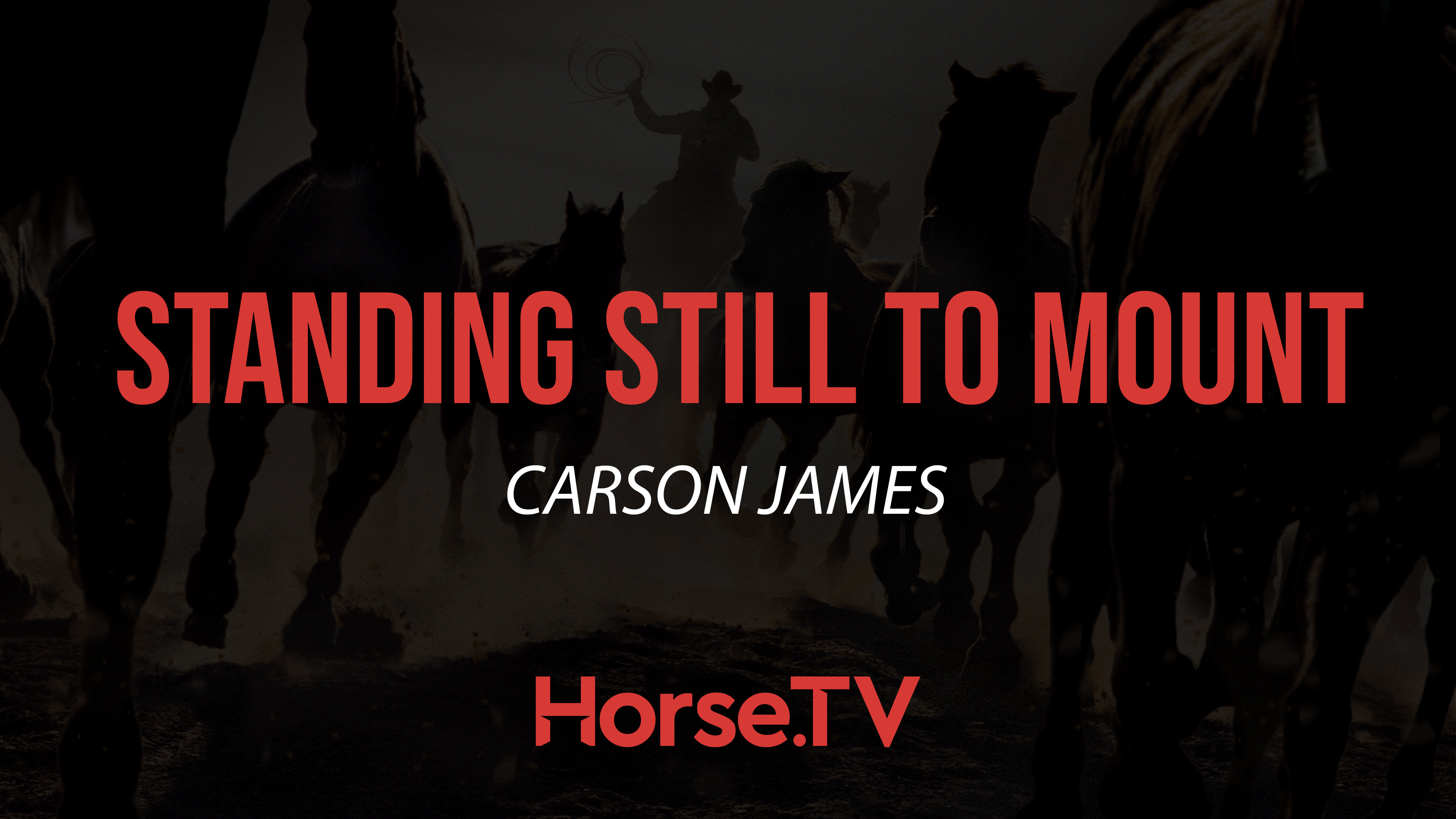 Standing Still To Mount