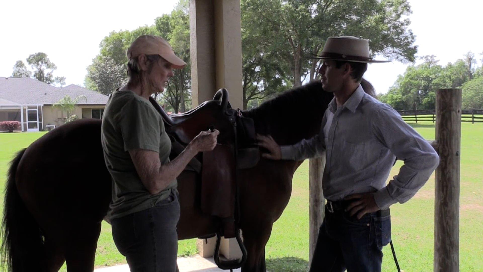 Overreactive Gaited Horse