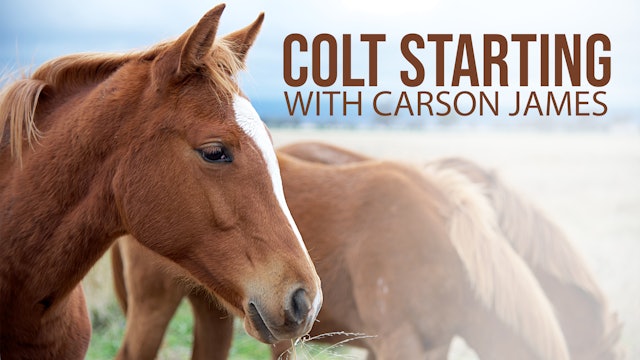 Colt Starting | Carson James