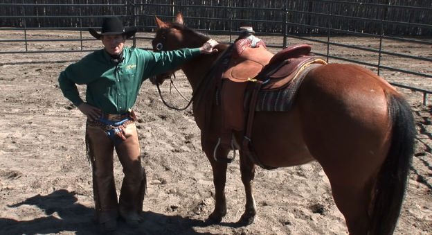 Episode 12 | Checking Your Horse