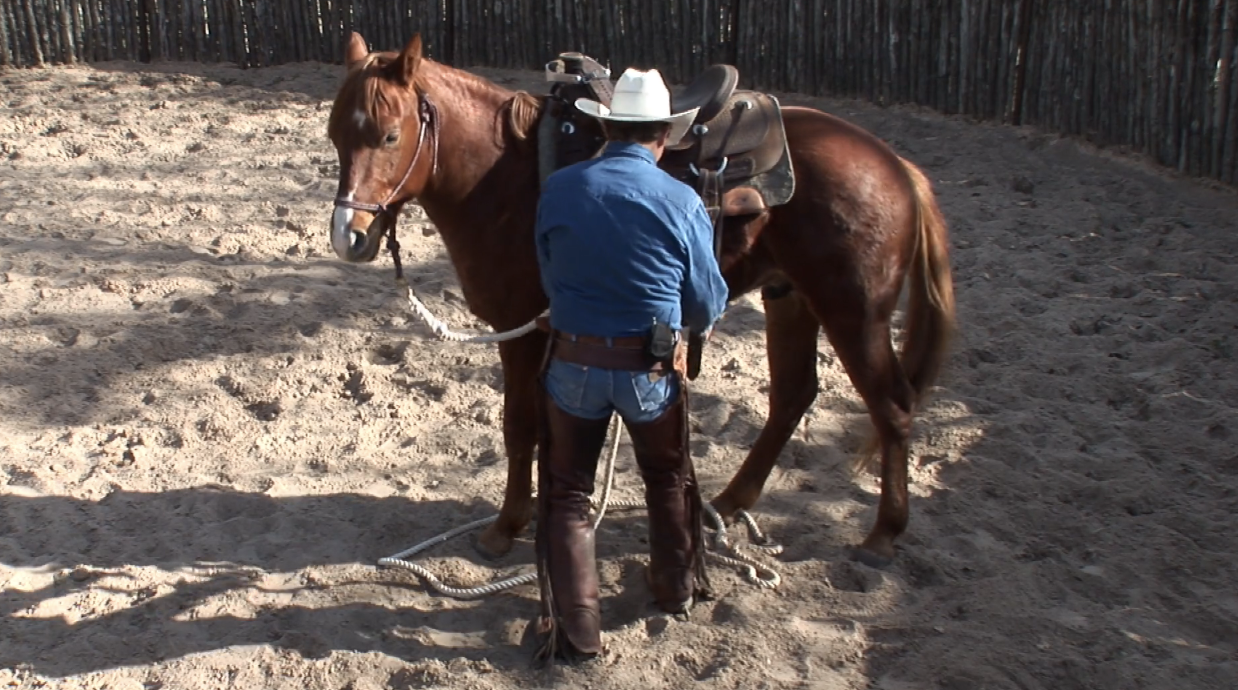 Episode 09 | Colt Start with Ty Murray - Pt 3