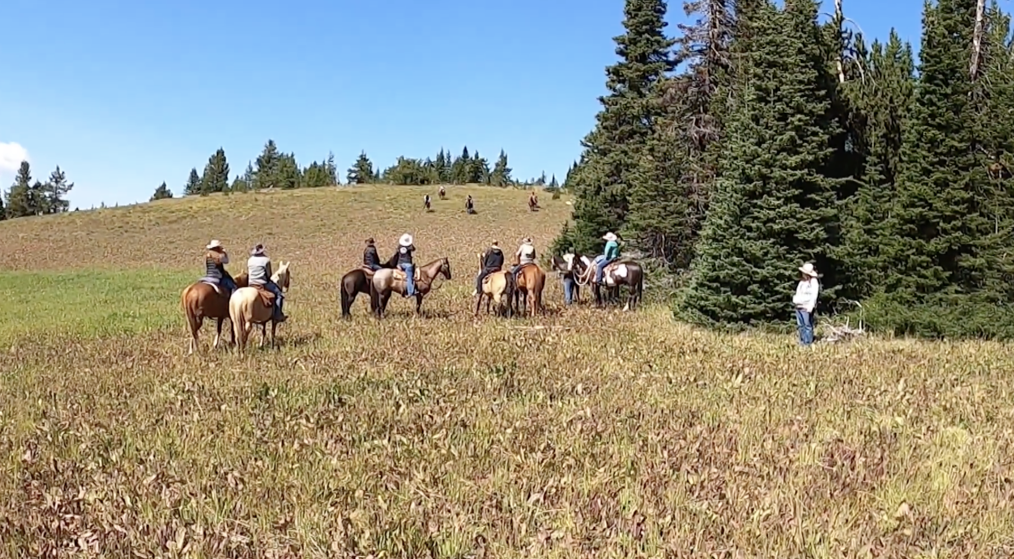Diamond P Ranch | Wyoming