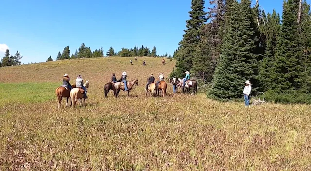 Diamond P Ranch | Wyoming