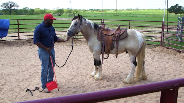 Flagging While Saddled In Motion