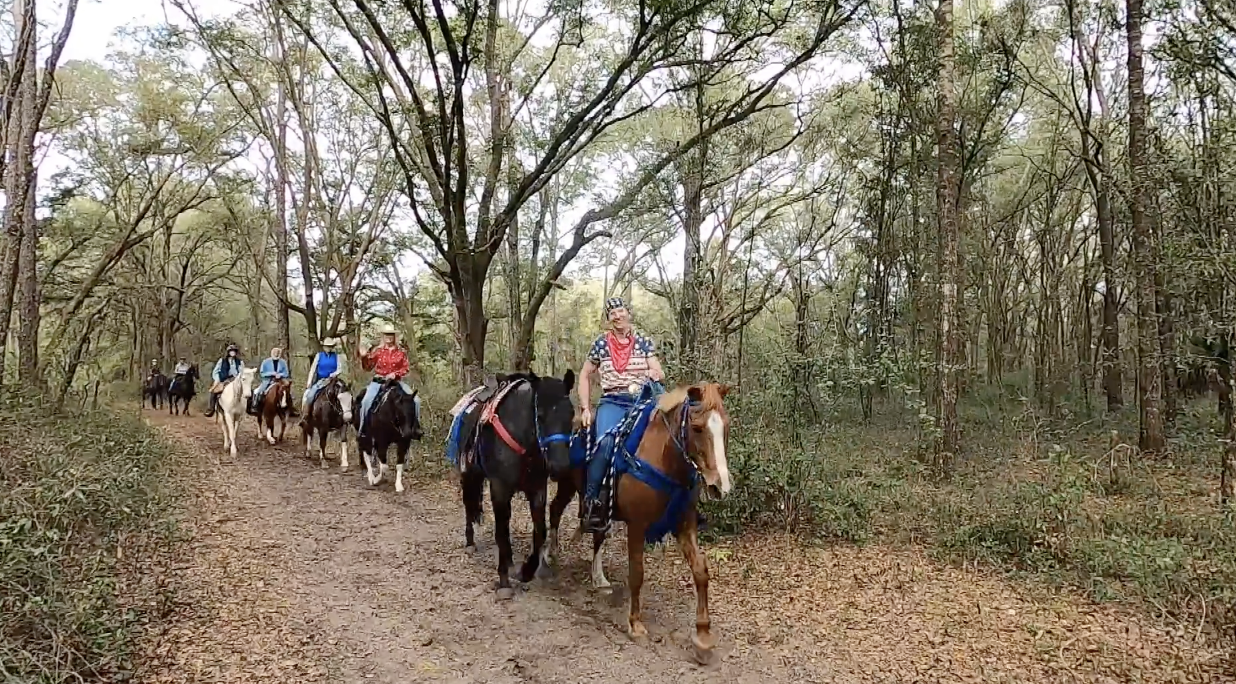 Visiting The Florida Horse Park | Florida
