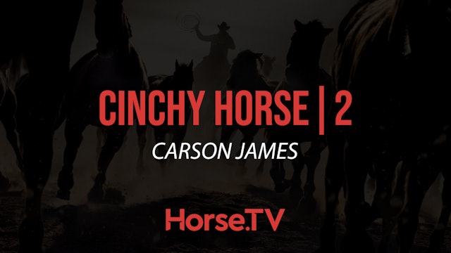 Cinchy Horse |2