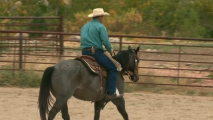 Episode 04 | Building A Ranch Horse - Pt 1