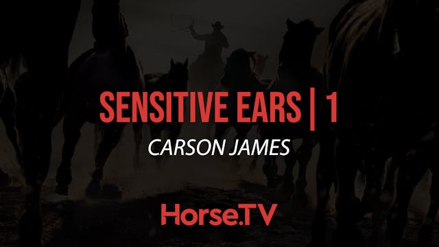 Sensitive Ears |1