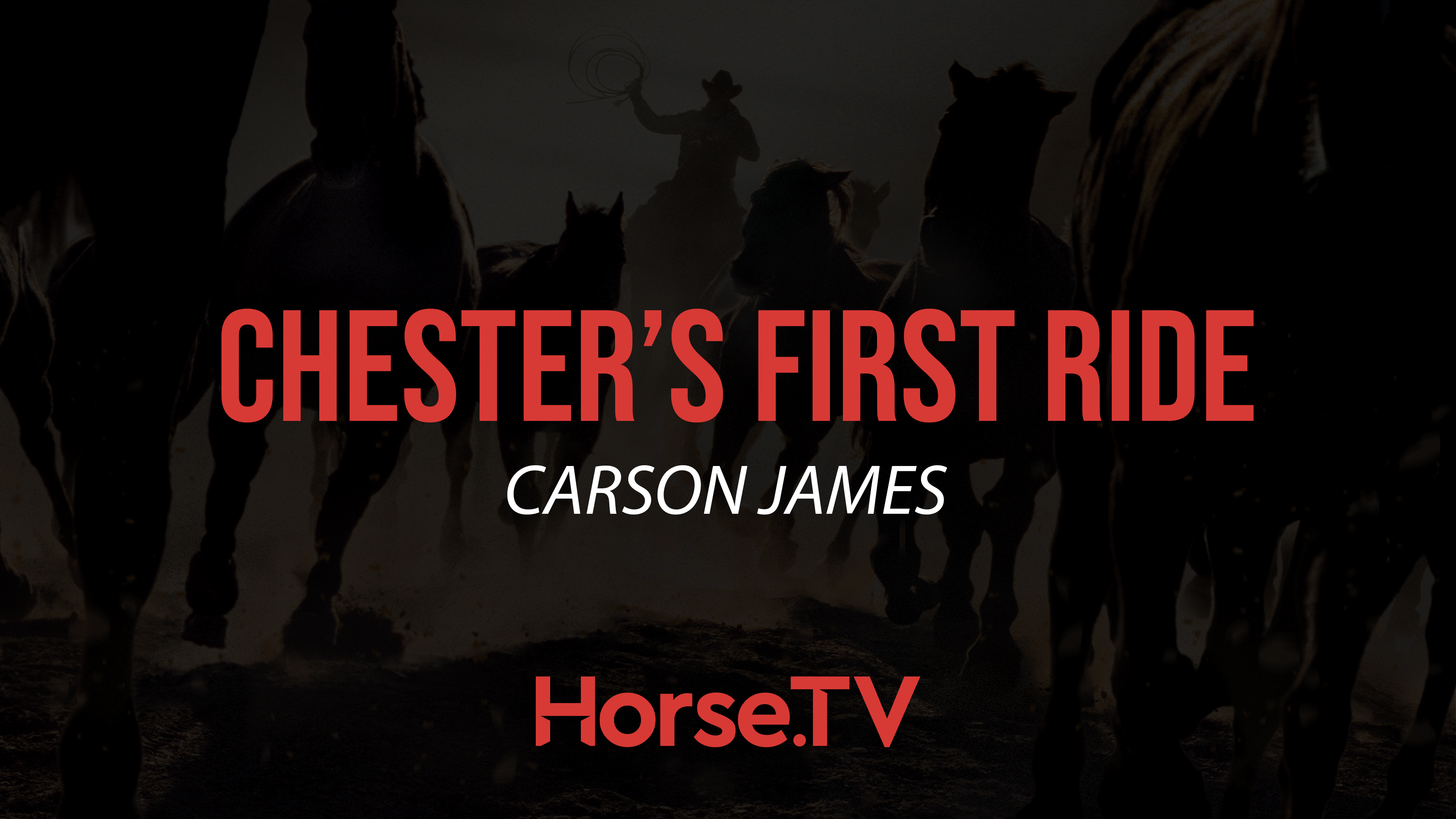 Chester's First Ride