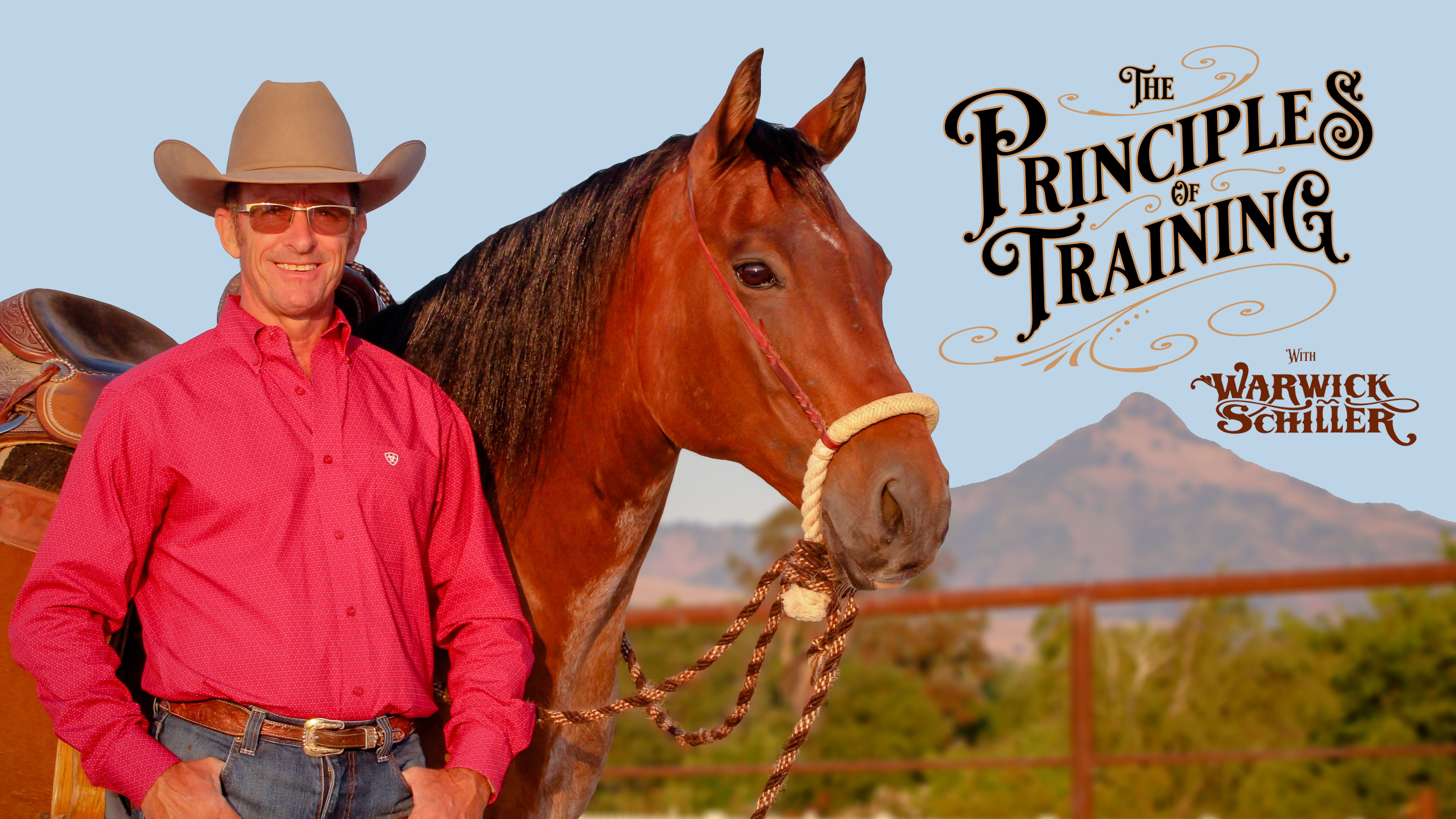 The Principles Of Training