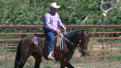 Episode 06 | Stops and Rollbacks