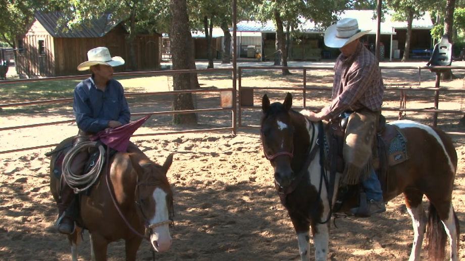 Episode 03 | Working With an Older Horse - Pt 2 of 2