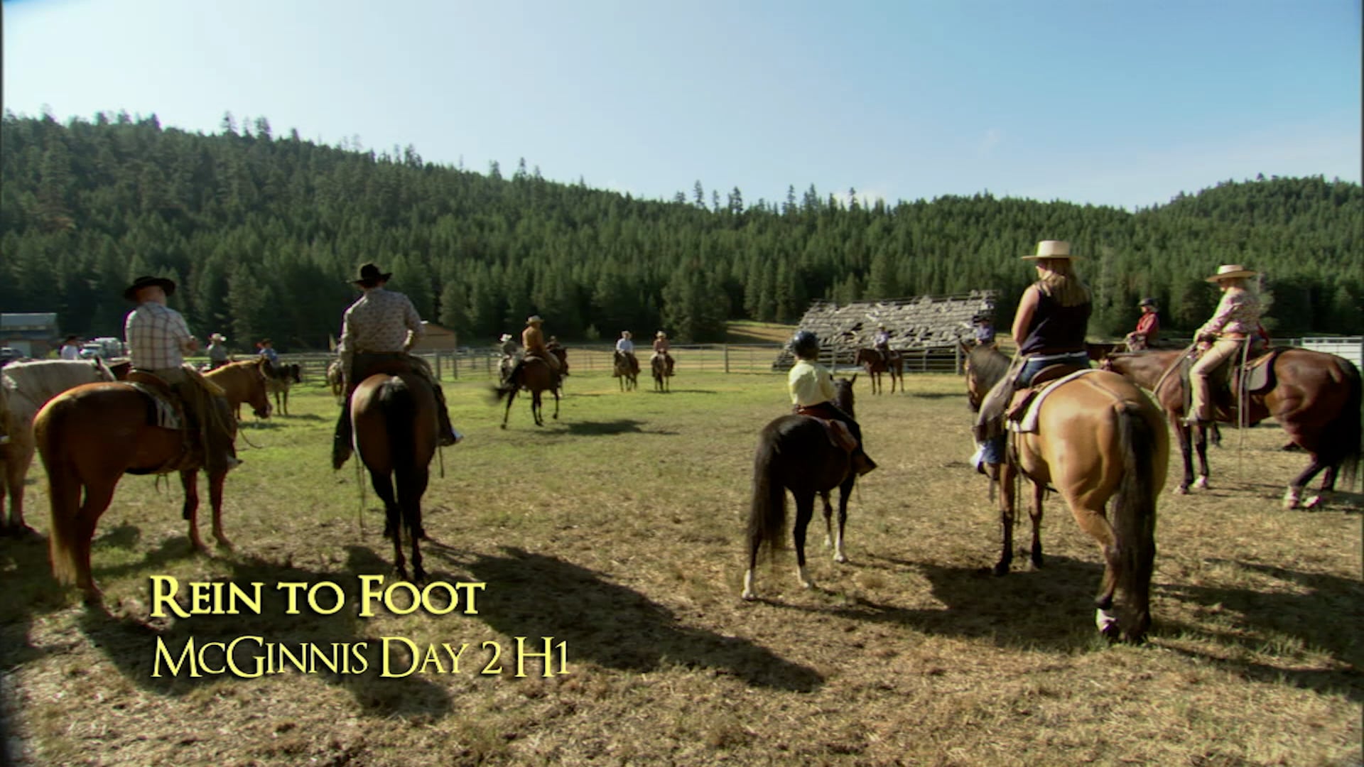 Using Reins To Reach The Feet