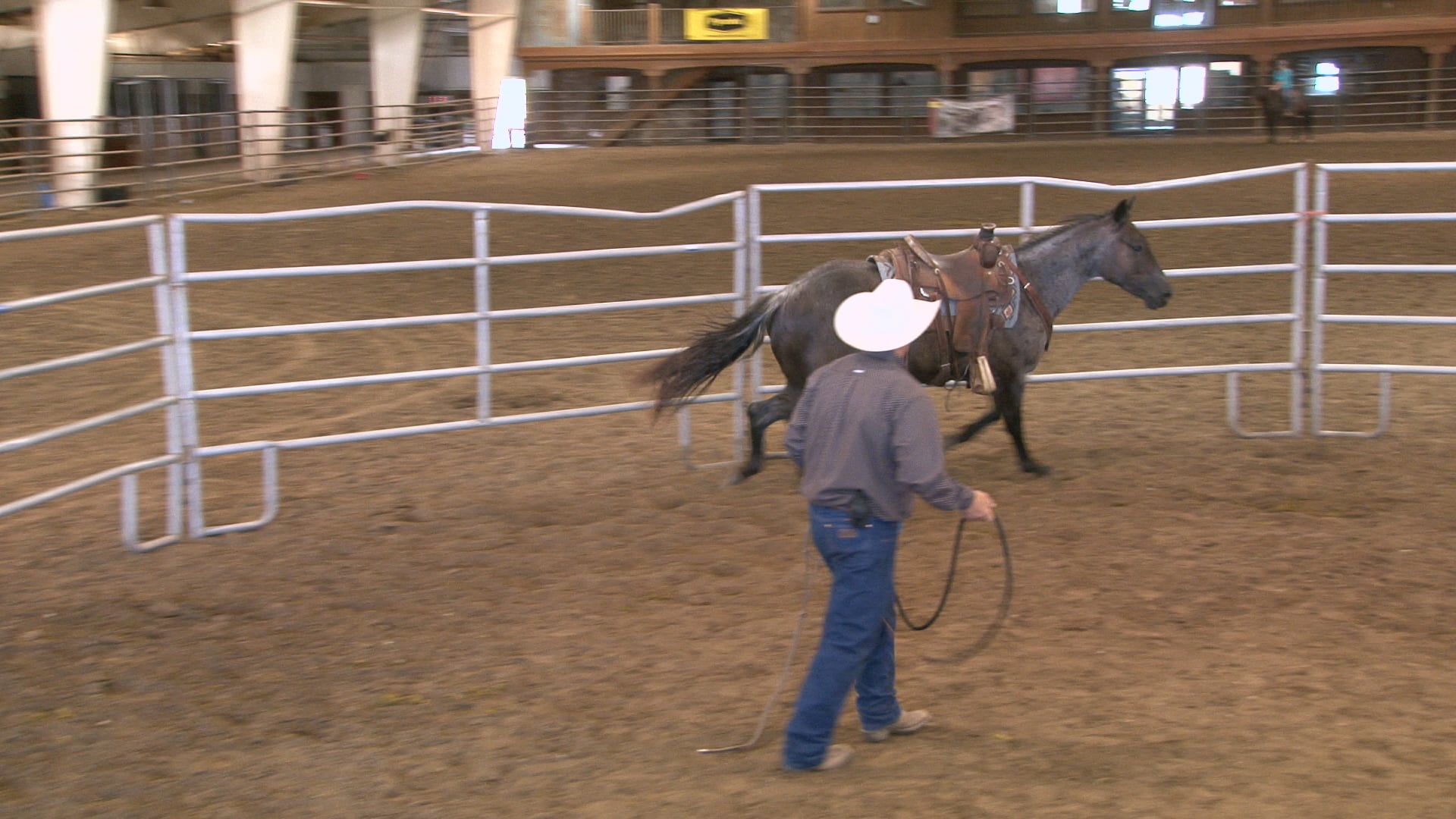 Episode 08 | Colt Starting Principles - Pt 2