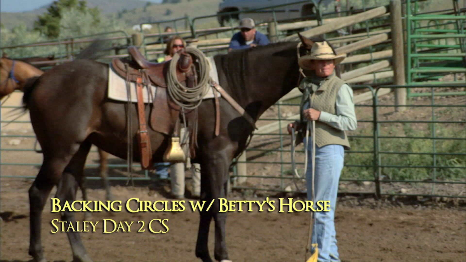 Backing A Resistant Horse