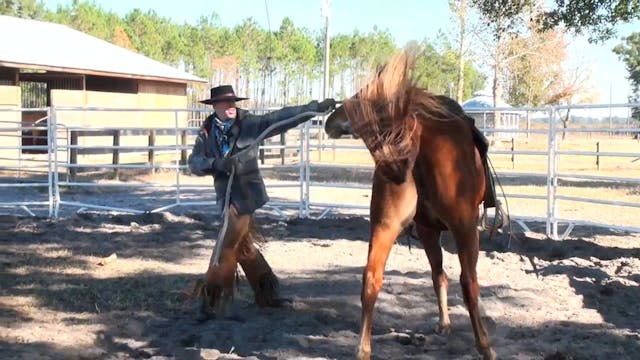 Saddling Chester