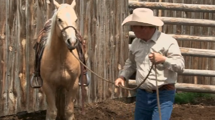 Episode 05 | Colt Starting - Pt 4