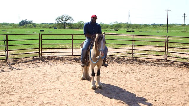 First Steps Saddle While Mouted