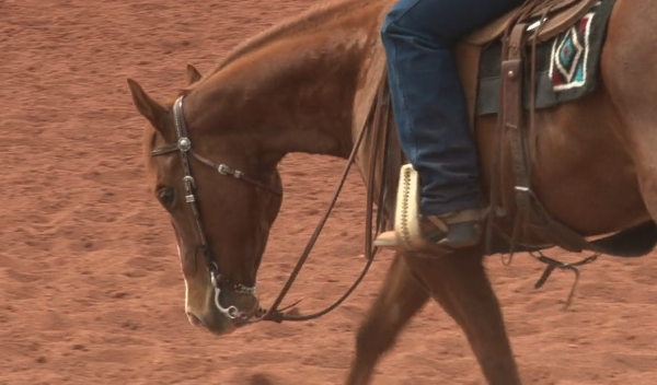 Episode 13 | Bits - Part 4