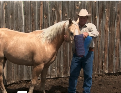 Episode 04 | Colt Starting - Pt 3