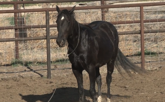 Episode 01 | First Touch