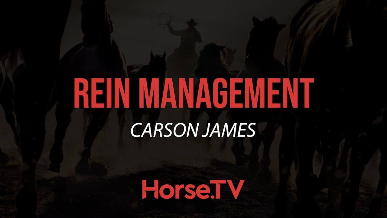 Rein Management Horse.TV