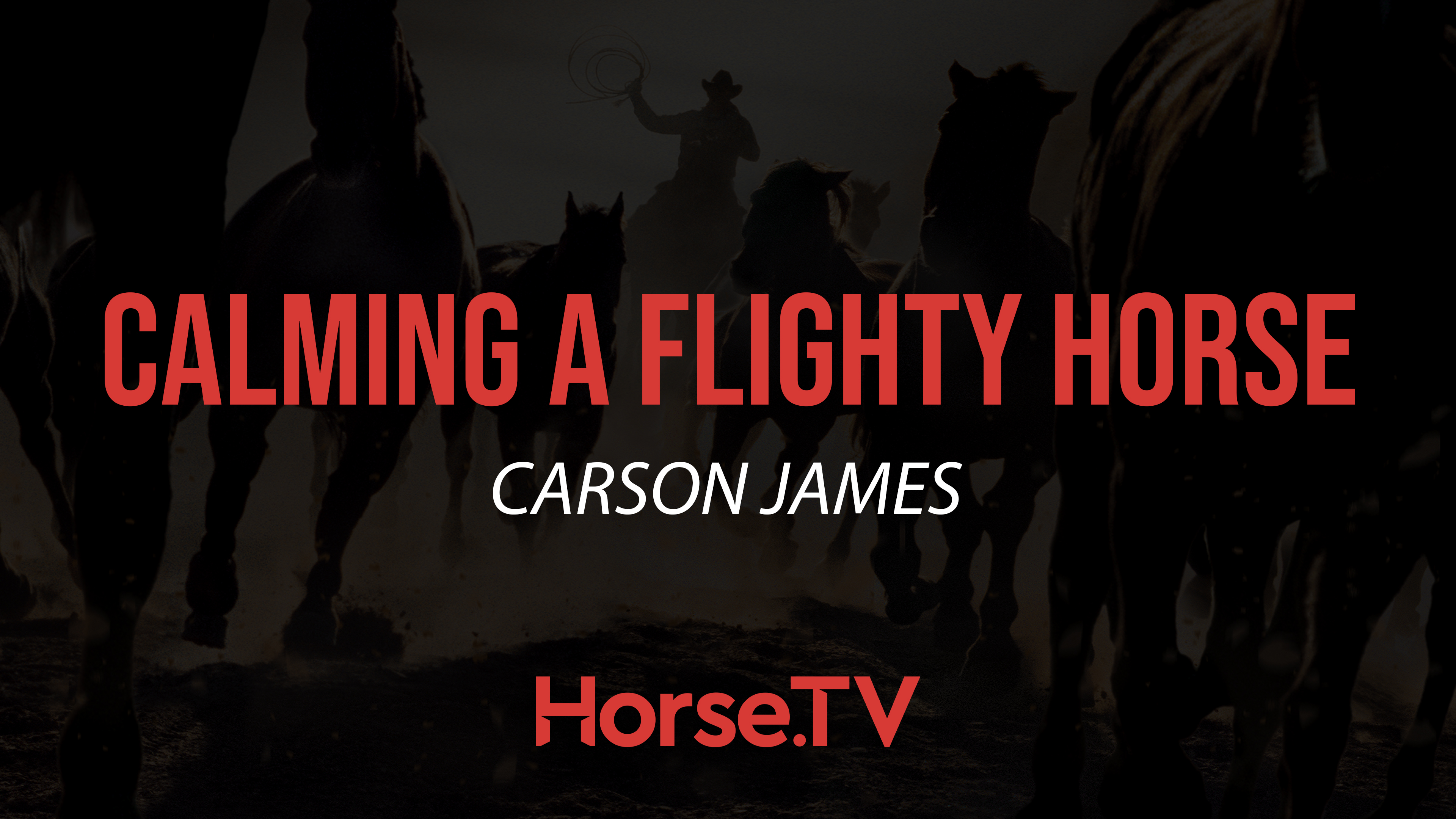 Calming A Flighty Horse
