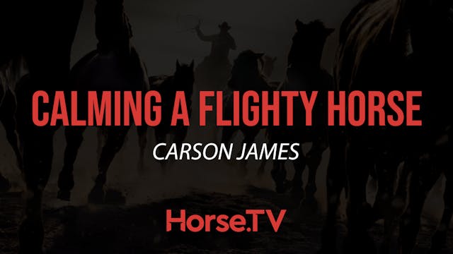 Calming A Flighty Horse