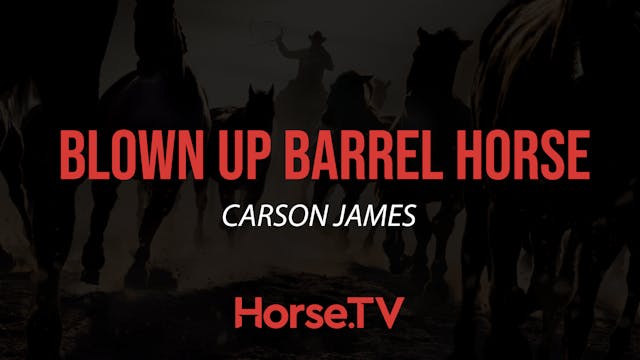 Blown Up Barrel Horse