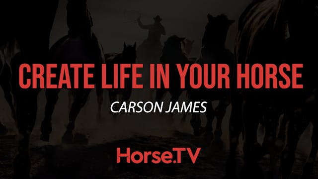 Create Life In Your Horse
