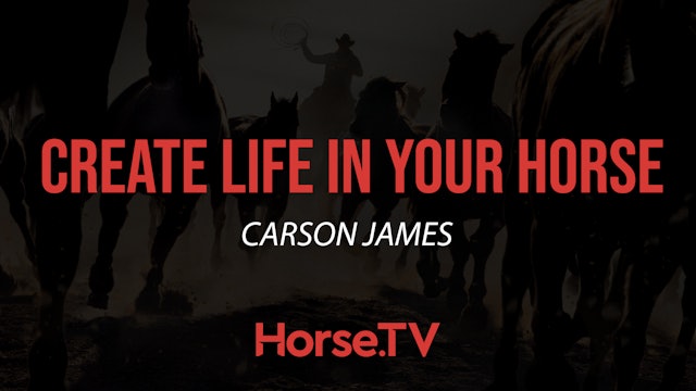 Create Life In Your Horse