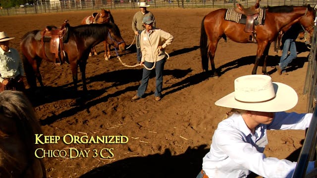 Handling Lead Rope & Reins