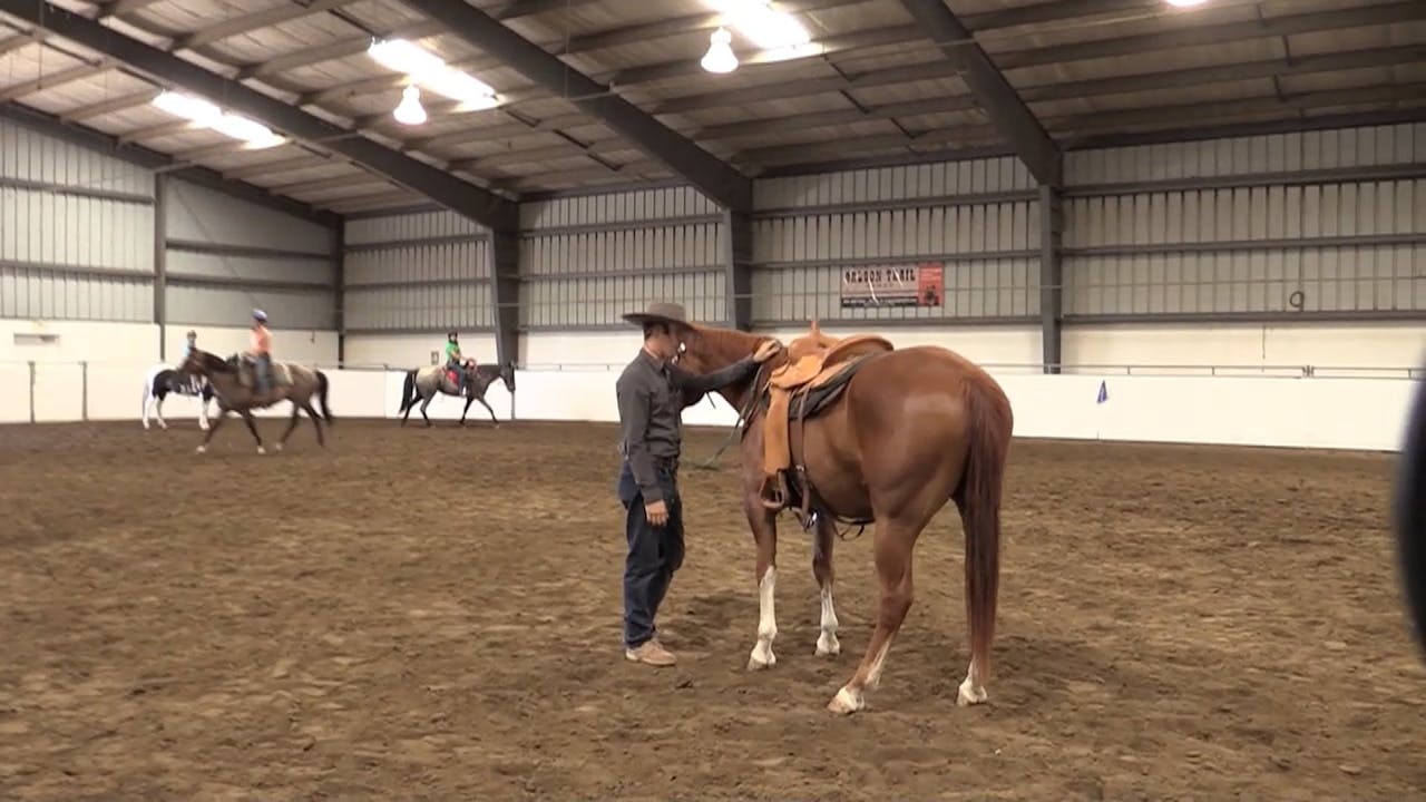 Mounting Problems Horse.TV